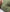 2-26.webp