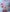 2-36.webp