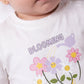 2-52.webp
