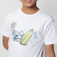Copy-of-DSC00357-scaled-1.webp