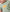 2-163.webp