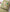 2-213.webp